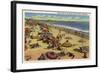 Santa Monica, California - A Daily Scene on the Beach-Lantern Press-Framed Art Print