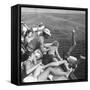 Santa Monica Life Guard's Party Aboard Boat-Peter Stackpole-Framed Stretched Canvas