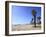 Santa Monica, Los Angeles, California, United States of America, North America-Wendy Connett-Framed Photographic Print