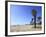 Santa Monica, Los Angeles, California, United States of America, North America-Wendy Connett-Framed Photographic Print