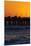 Santa Monica Pier at Sunset, Santa Monica, Los Angeles, California-David Wall-Mounted Premium Photographic Print