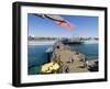 Santa Monica Pier, Santa Monica, California, USA-Ethel Davies-Framed Photographic Print