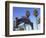 Santa Monica Pier, Santa Monica, Los Angeles, California, Usa-Wendy Connett-Framed Photographic Print