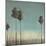 Santa Monica-Terri Burris-Mounted Art Print