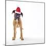 Santa Paws-Assaf Frank-Mounted Giclee Print