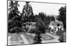 Santa Rosa, California - View of a Burbank Garden-Lantern Press-Mounted Premium Giclee Print