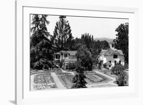 Santa Rosa, California - View of a Burbank Garden-Lantern Press-Framed Art Print