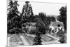 Santa Rosa, California - View of a Burbank Garden-Lantern Press-Mounted Art Print