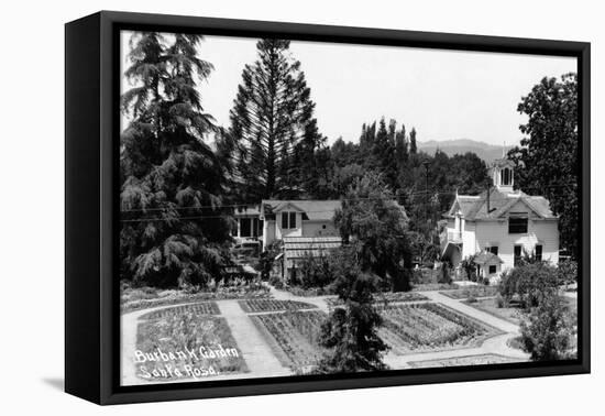 Santa Rosa, California - View of a Burbank Garden-Lantern Press-Framed Stretched Canvas