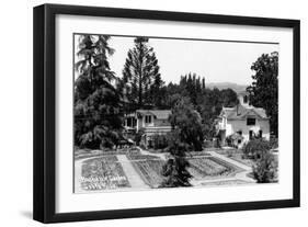 Santa Rosa, California - View of a Burbank Garden-Lantern Press-Framed Art Print