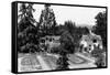 Santa Rosa, California - View of a Burbank Garden-Lantern Press-Framed Stretched Canvas