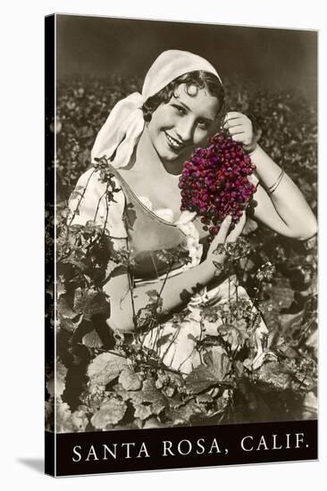 Santa Rosa, California, Woman with Grapes-null-Stretched Canvas