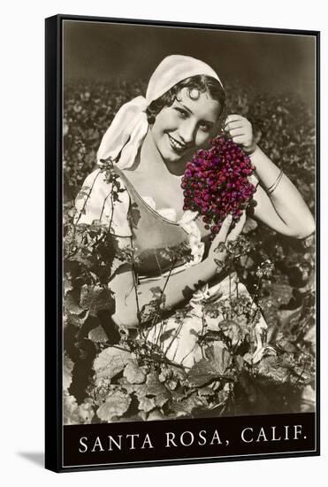 Santa Rosa, California, Woman with Grapes-null-Framed Stretched Canvas