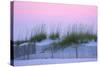 Santa Rosa dunes at sunset, Florida, USA-Anna Miller-Stretched Canvas