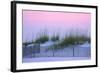 Santa Rosa dunes at sunset, Florida, USA-Anna Miller-Framed Photographic Print