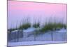 Santa Rosa dunes at sunset, Florida, USA-Anna Miller-Mounted Photographic Print