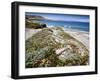 Santa Rosa Island, Channel Islands National Park, California. Wildflowers.-Ian Shive-Framed Photographic Print