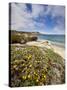 Santa Rosa Island, Channel Islands National Park, California-Ian Shive-Stretched Canvas