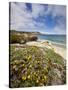 Santa Rosa Island, Channel Islands National Park, California-Ian Shive-Stretched Canvas