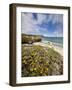 Santa Rosa Island, Channel Islands National Park, California-Ian Shive-Framed Photographic Print