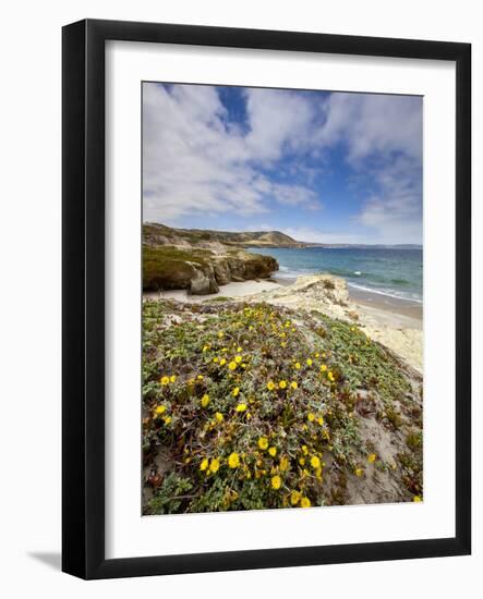 Santa Rosa Island, Channel Islands National Park, California-Ian Shive-Framed Photographic Print