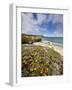 Santa Rosa Island, Channel Islands National Park, California-Ian Shive-Framed Photographic Print