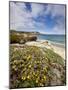 Santa Rosa Island, Channel Islands National Park, California-Ian Shive-Mounted Photographic Print
