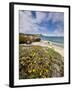 Santa Rosa Island, Channel Islands National Park, California-Ian Shive-Framed Photographic Print