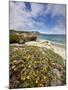 Santa Rosa Island, Channel Islands National Park, California-Ian Shive-Mounted Photographic Print