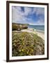 Santa Rosa Island, Channel Islands National Park, California-Ian Shive-Framed Photographic Print