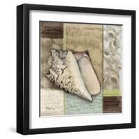 Santa Rosa Shell I-Paul Brent-Framed Art Print