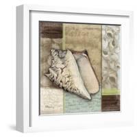 Santa Rosa Shell I-Paul Brent-Framed Art Print