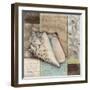 Santa Rosa Shell I-Paul Brent-Framed Art Print