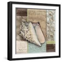 Santa Rosa Shell I-Paul Brent-Framed Art Print