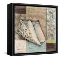 Santa Rosa Shell I-Paul Brent-Framed Stretched Canvas