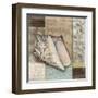 Santa Rosa Shell I-Paul Brent-Framed Art Print