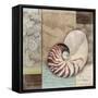 Santa Rosa Shell II-Paul Brent-Framed Stretched Canvas