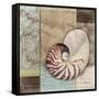 Santa Rosa Shell II-Paul Brent-Framed Stretched Canvas