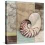 Santa Rosa Shell II-Paul Brent-Stretched Canvas