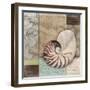 Santa Rosa Shell II-Paul Brent-Framed Art Print