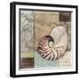 Santa Rosa Shell II-Paul Brent-Framed Art Print