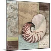 Santa Rosa Shell II-Paul Brent-Mounted Art Print