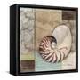 Santa Rosa Shell II-Paul Brent-Framed Stretched Canvas