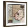 Santa Rosa Shell II-Paul Brent-Framed Art Print