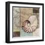 Santa Rosa Shell II-Paul Brent-Framed Art Print