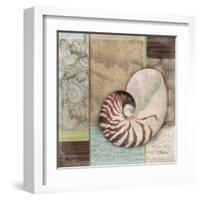 Santa Rosa Shell II-Paul Brent-Framed Art Print