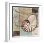 Santa Rosa Shell II-Paul Brent-Framed Art Print