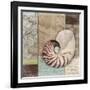 Santa Rosa Shell II-Paul Brent-Framed Art Print