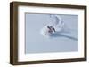 Santa Skiing at Snowbird Ski Resort, Wasatch Mountains, Utah.-James Kay-Framed Photographic Print