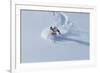 Santa Skiing at Snowbird Ski Resort, Wasatch Mountains, Utah.-James Kay-Framed Photographic Print